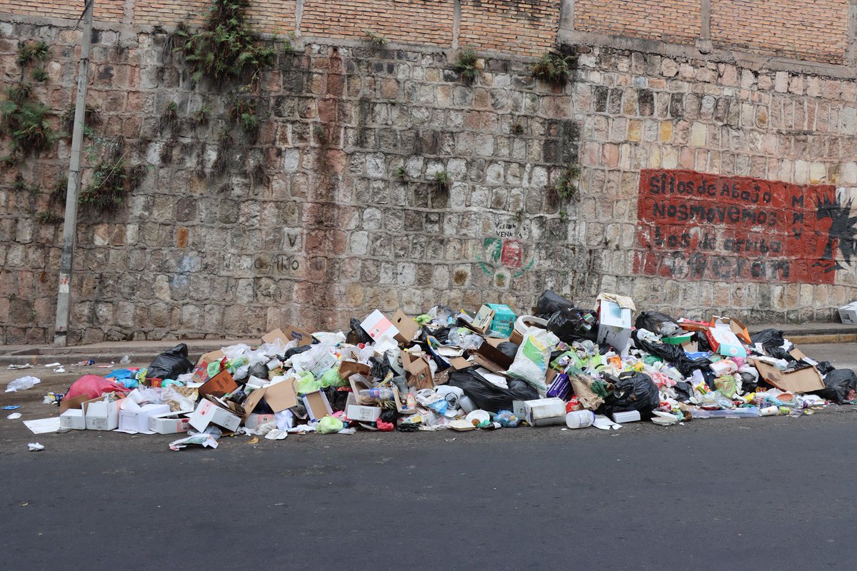 Juan Diego Zelaya tweet media