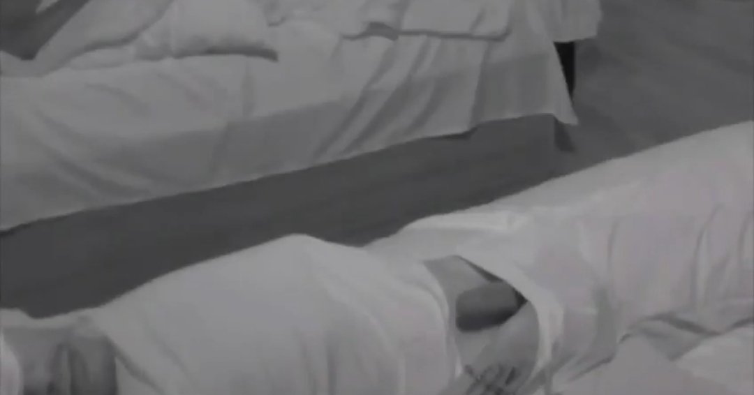 An betch 🐆 tweet media