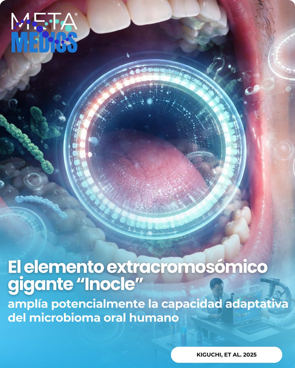 Metamedicsmx's tweet image. Hallan “Inocle”, un elemento extracromosómico gigante (hasta 395 kb) en el microbioma oral: aparece en 74% de personas (476 datasets) y se reduce en cáncer de cabeza/cuello (60%→27%) y colorrectal. Fuente: Nature Communications. DOI:10.1038/s41467-025-62406-5