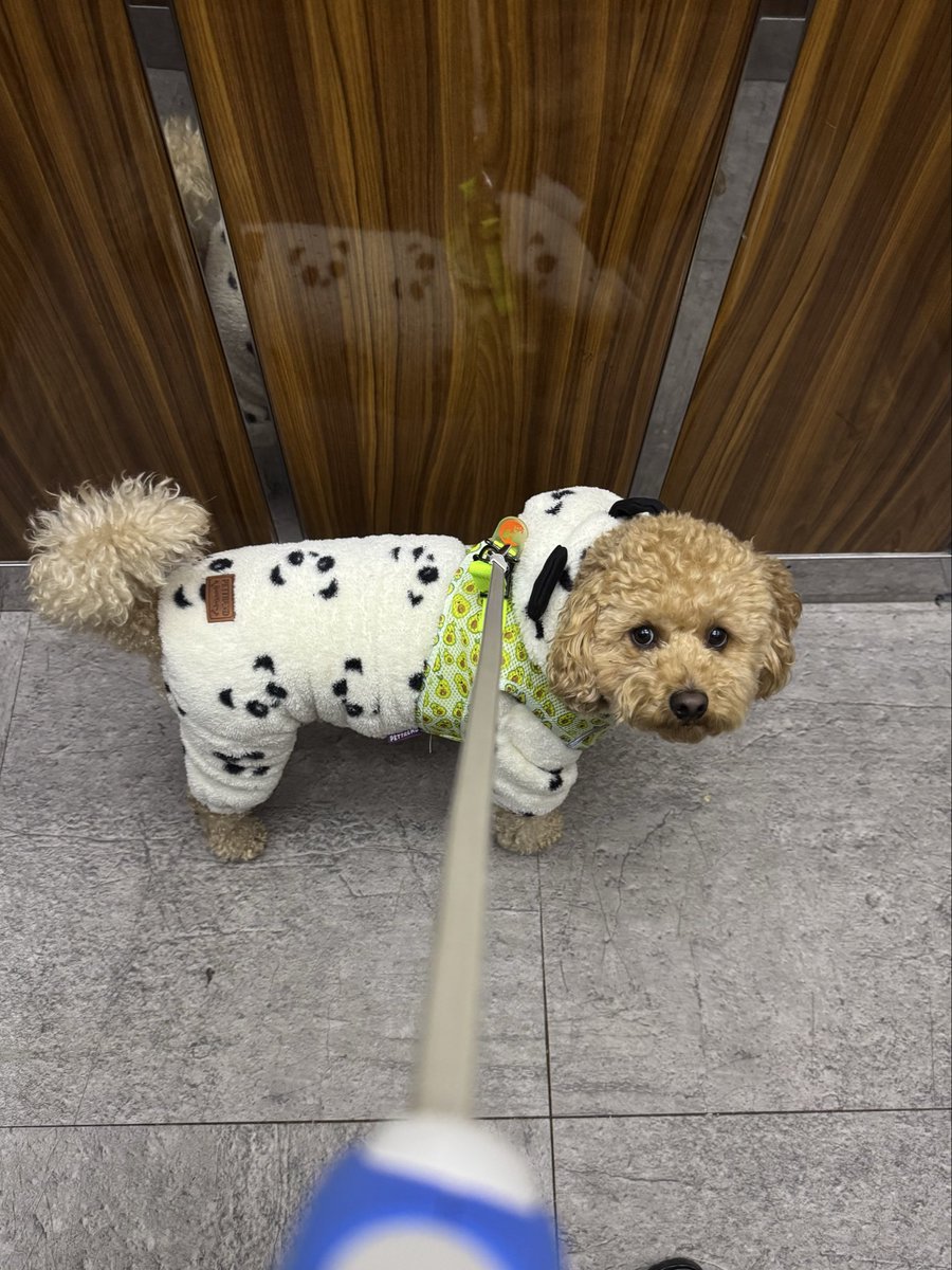 Teddy 🧸 tweet media