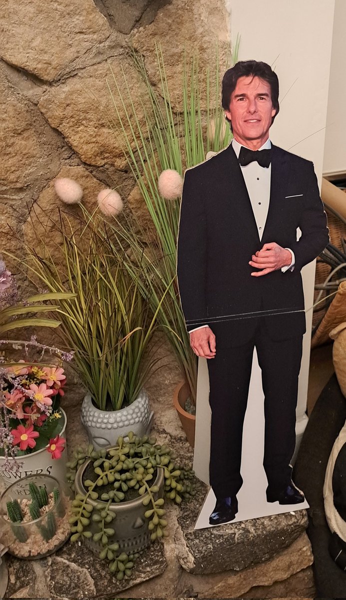 cattbutt's tweet image. Get you a sister who buys you a cardboard cut out of Tom Cruise for your birthday 🙂‍↕️