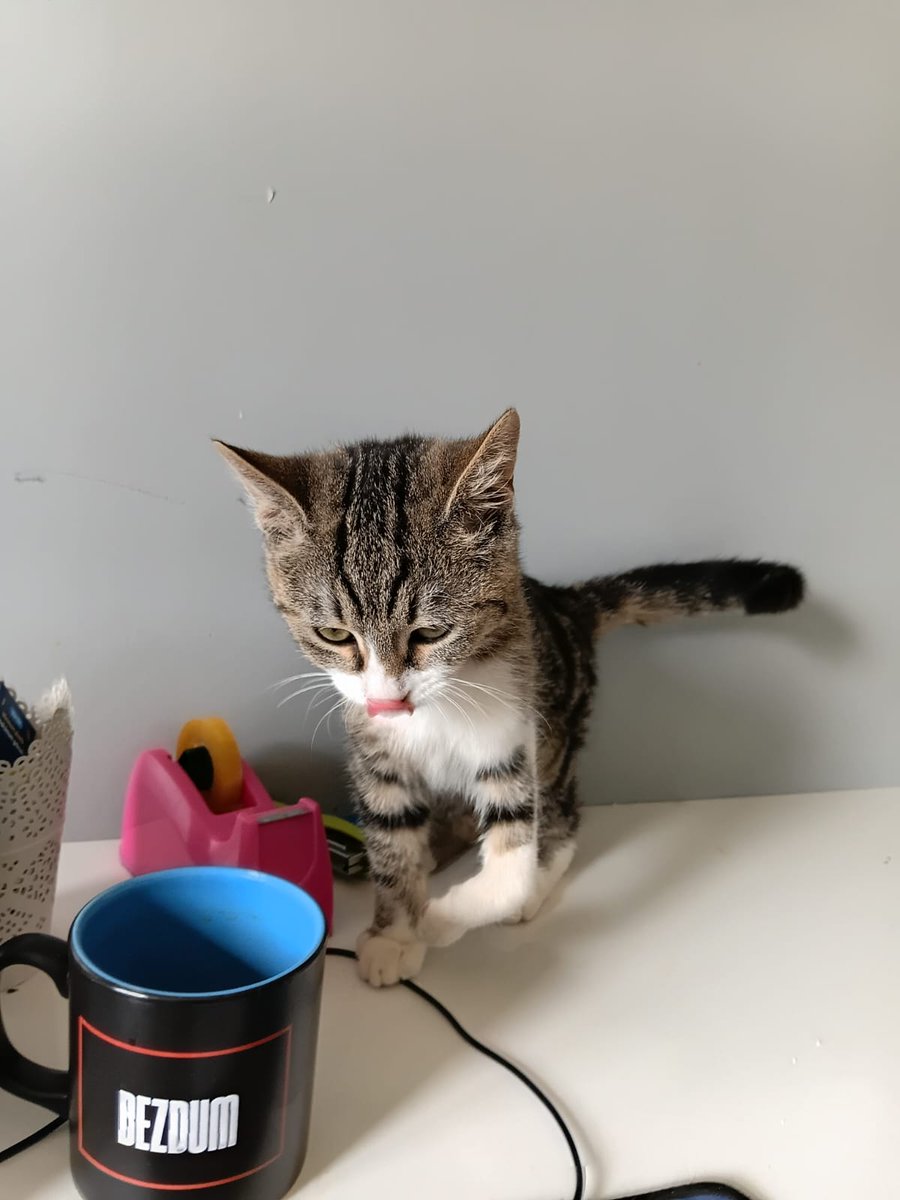 Hala bana bi yufa bulamadı hiçbirinis