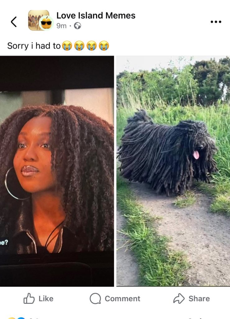 prettyp_000's tweet image. Love Island needs to address or do something about the hate that black people get on Facebook #LoveIslandAllStars  #loveisland .. for example