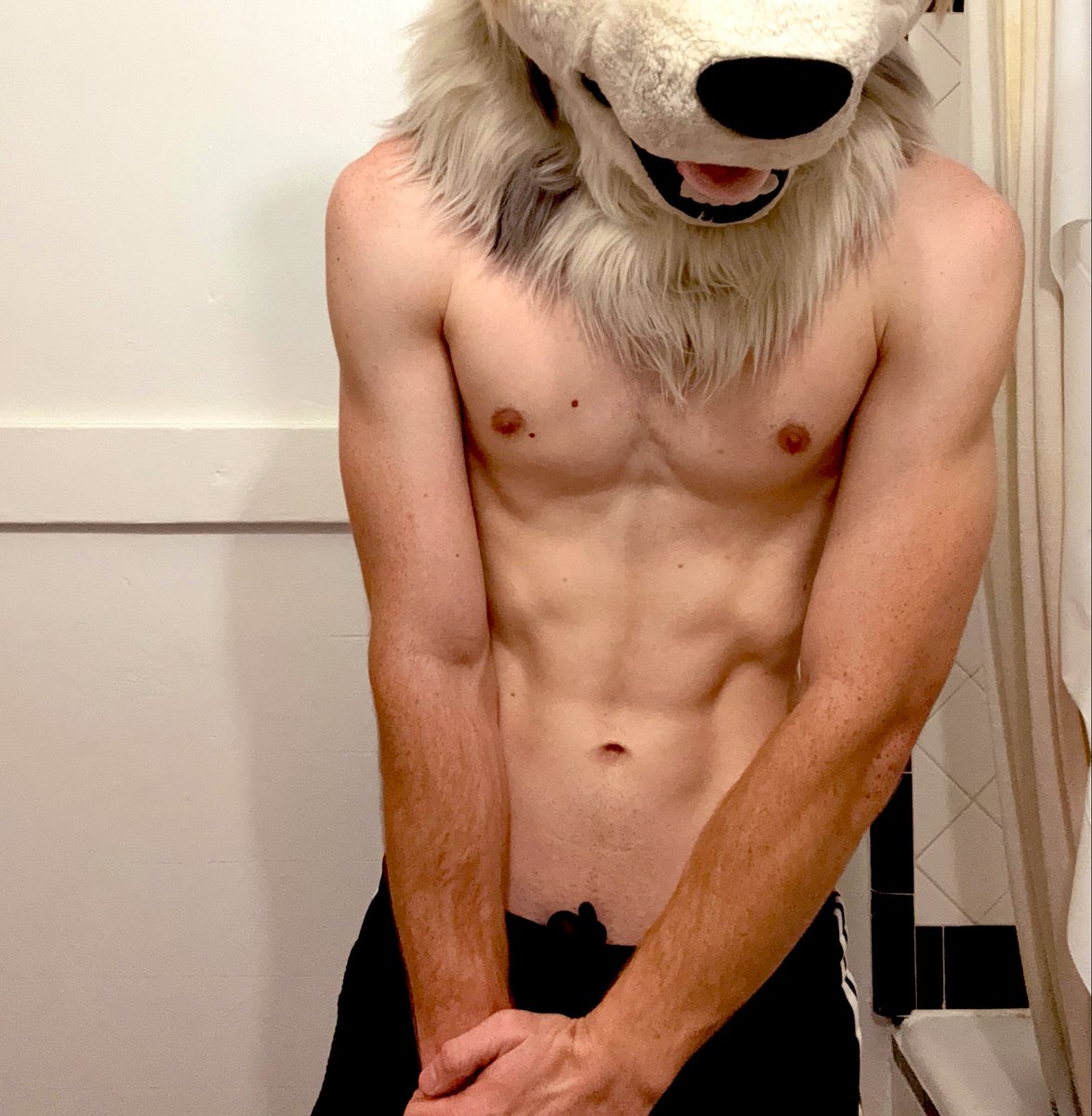 Who let this cat out of the pen? 🤯