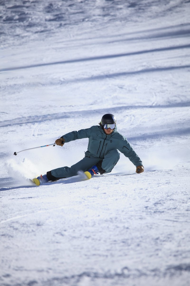 Snowbird tweet media