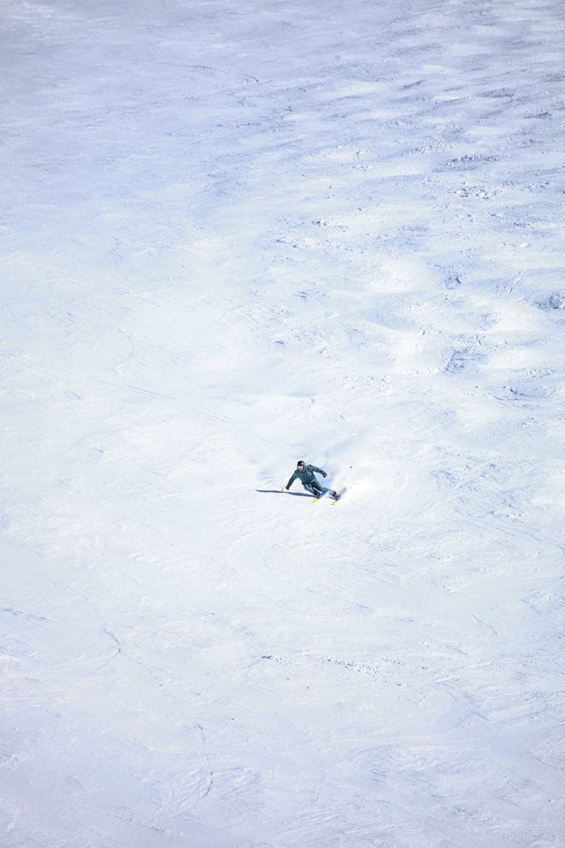 Snowbird tweet media