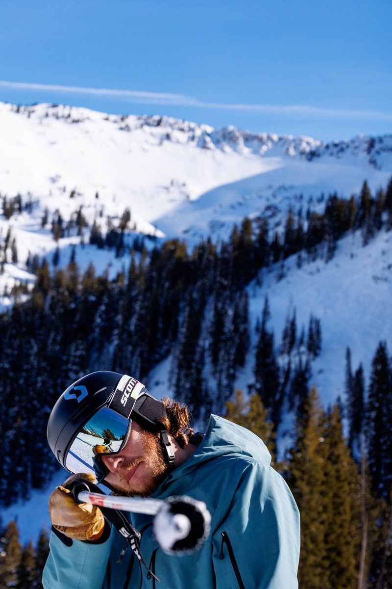 Snowbird tweet media