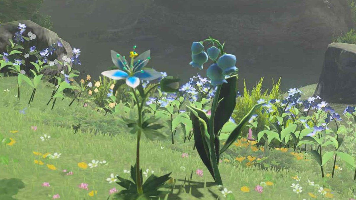 Samuuu | ▲ tweet media