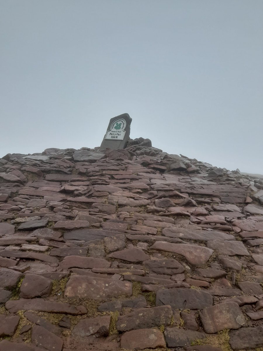 Ulrike Vogel tweet media