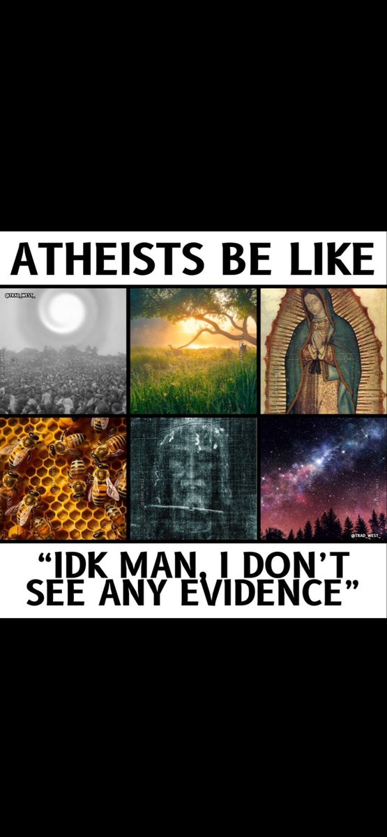 TitusINRI's tweet image. 