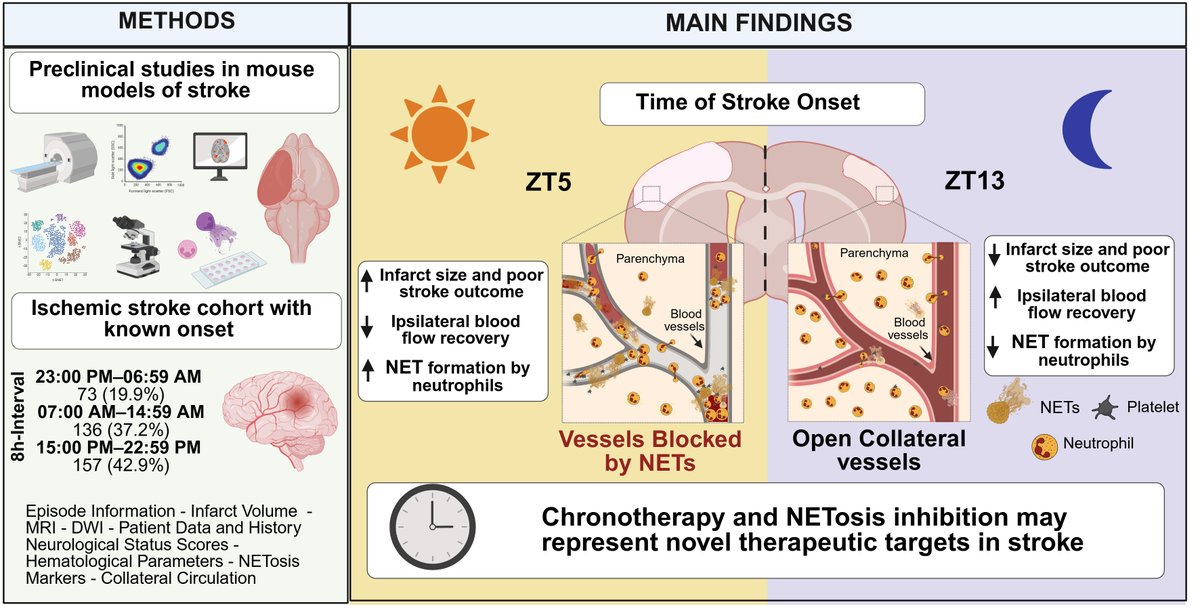 María A. Moro tweet media