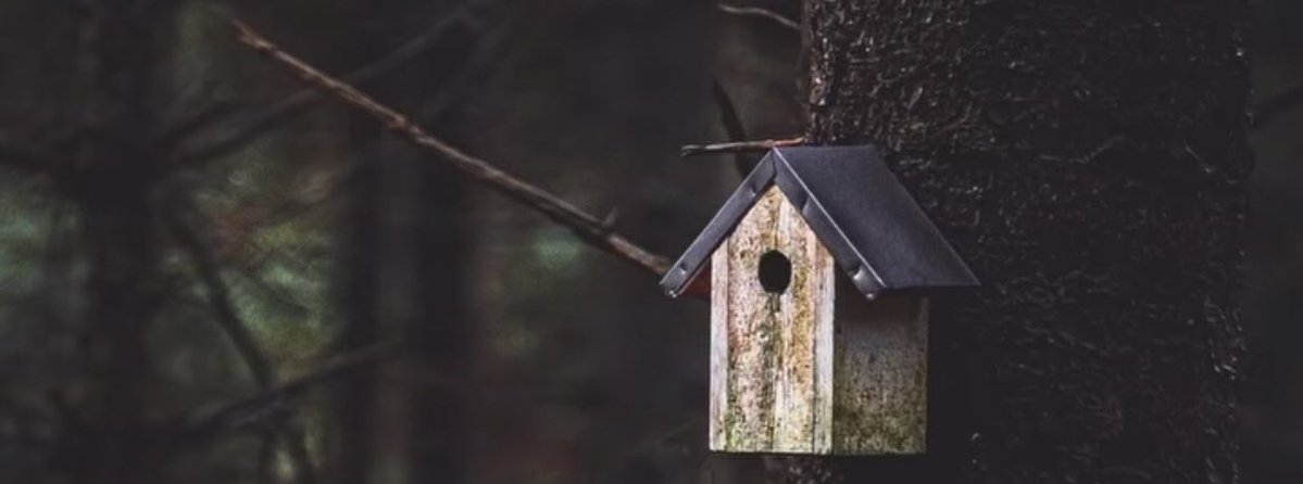 Erken yaşta herşeyi yaşamanın verdiği yorgunluk.