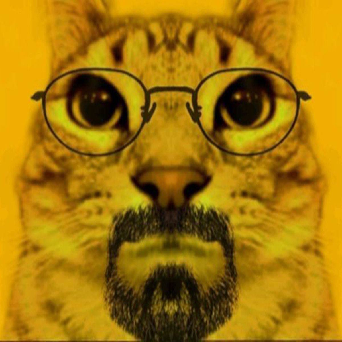 JoshAbbah's tweet photo. @Cryptobu_ll @Diggerug This is so fire 🔥 😍 😺 https://t.co/obolLKsysI