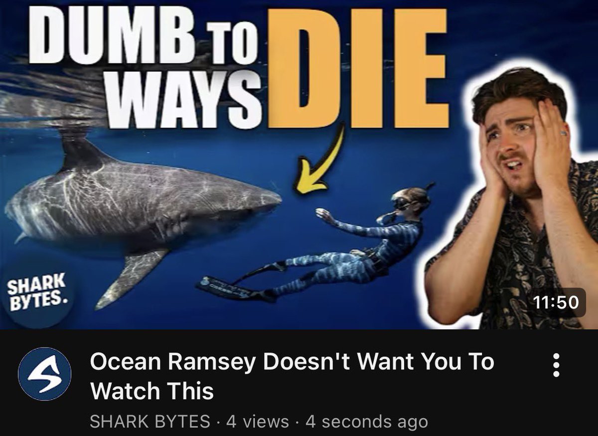 BRAND NEW #SHARKBYTES (Kind of) - Ocean Ramsey has got my goat again recently, and for some reason her and her husband Juan don’t want you to be able to watch this video… I wonder why? Watch via the Shark Bytes homepage here: youtube.com/@sharkbytes?si…