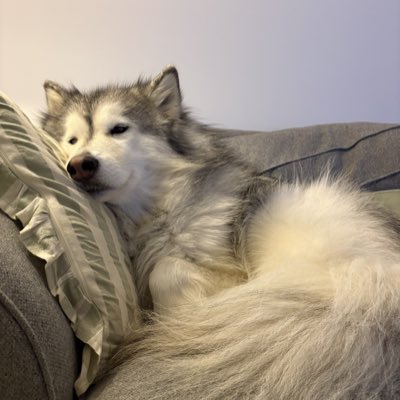 #NewProfilePic