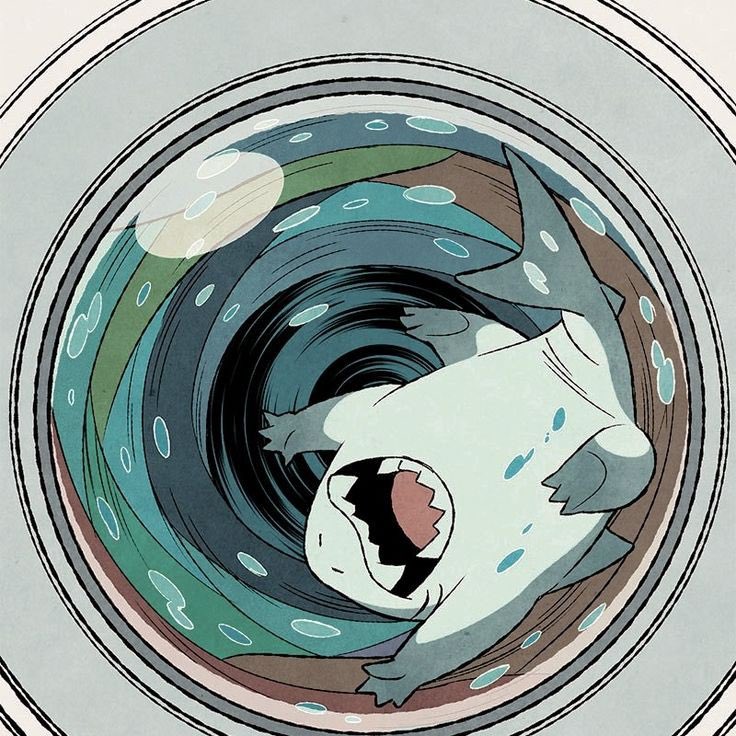 PetLandShark's tweet image. Jeff is playing in the washing machine.
