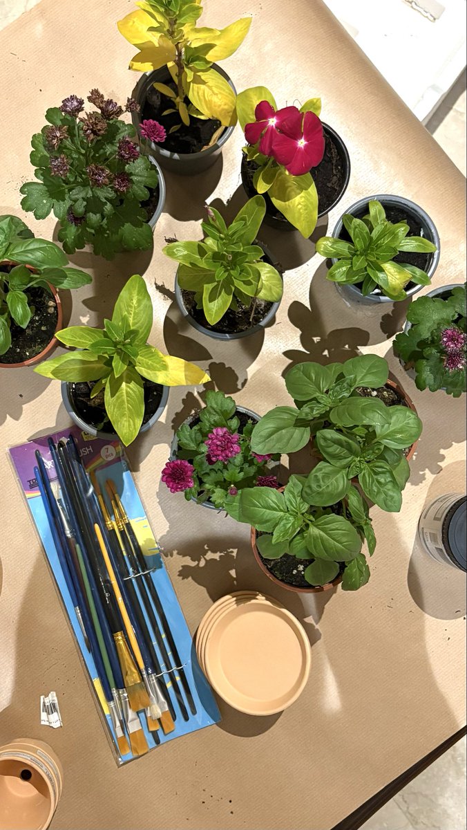 جـوريّة tweet media