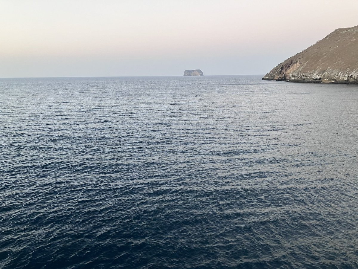 Jake Horowitz tweet media