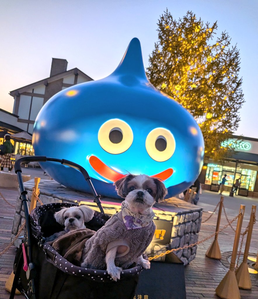 おはようございます☀ 昨日はお休みだったので、うちのコ達と友人とで