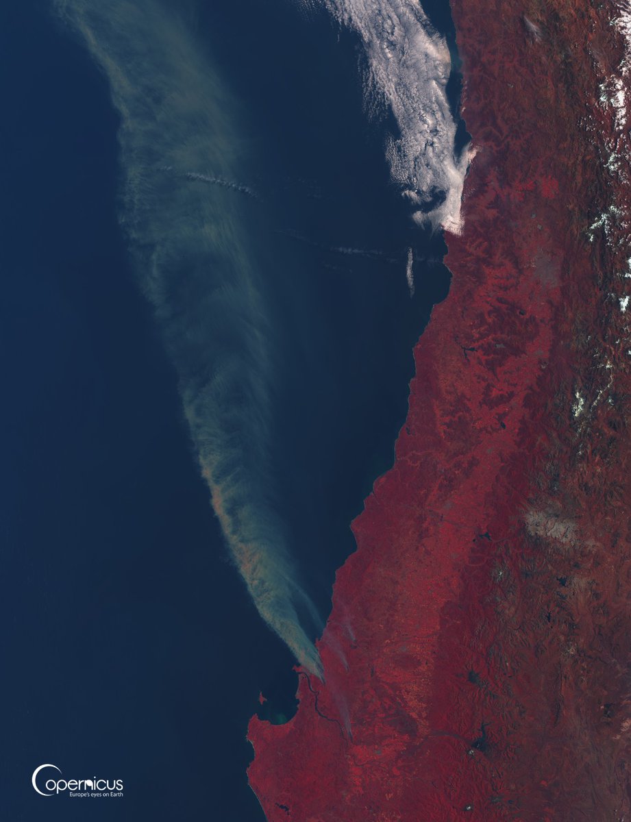 ⭕️ INCENDIOS - #IncendiosForestales #IF #IIFF 
🇨🇱 Región del BíoBío &amp; Ñuble 
🛰️ Pluma, Vista desde Satélite Sentinel-3
🔎 OLCI L1B + RGB

#Copernicus #Sentinel #Chile #Biobio #Penco #Trinitarias <a href="/reddeemergencia/">Red de Emergencia ONG</a> <a href="/alegriagonzaa/">Alejandro Alegria 🌴</a> <a href="/nimbusmeteorol/">Nimbus Meteorología</a>