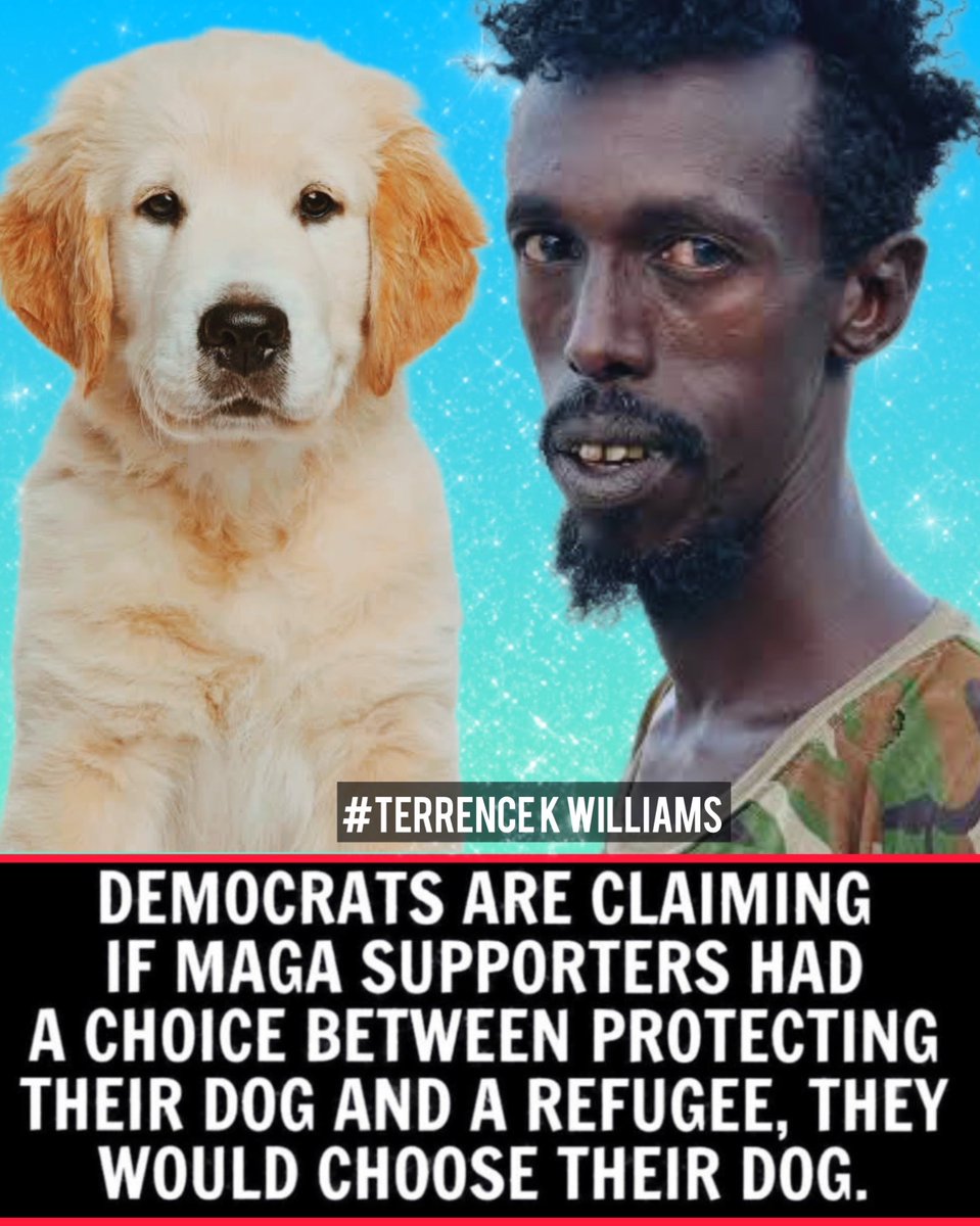 w_terrence's tweet image. DOGS apparently matter more to Trump supporters than REFUGEES, Democrats claim — saying supporters are too embarrassed to admit it.