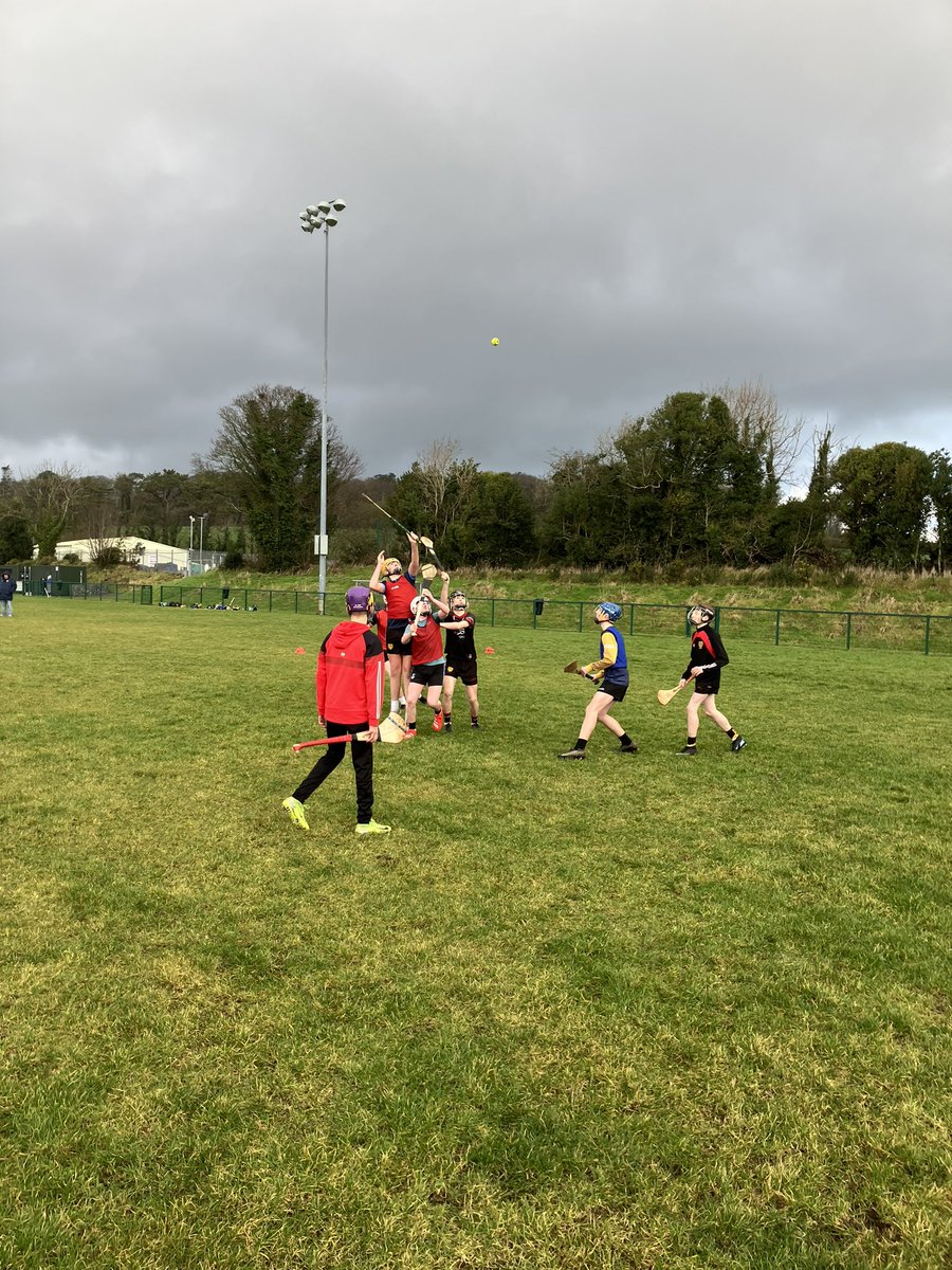 Fergal Rogers tweet media