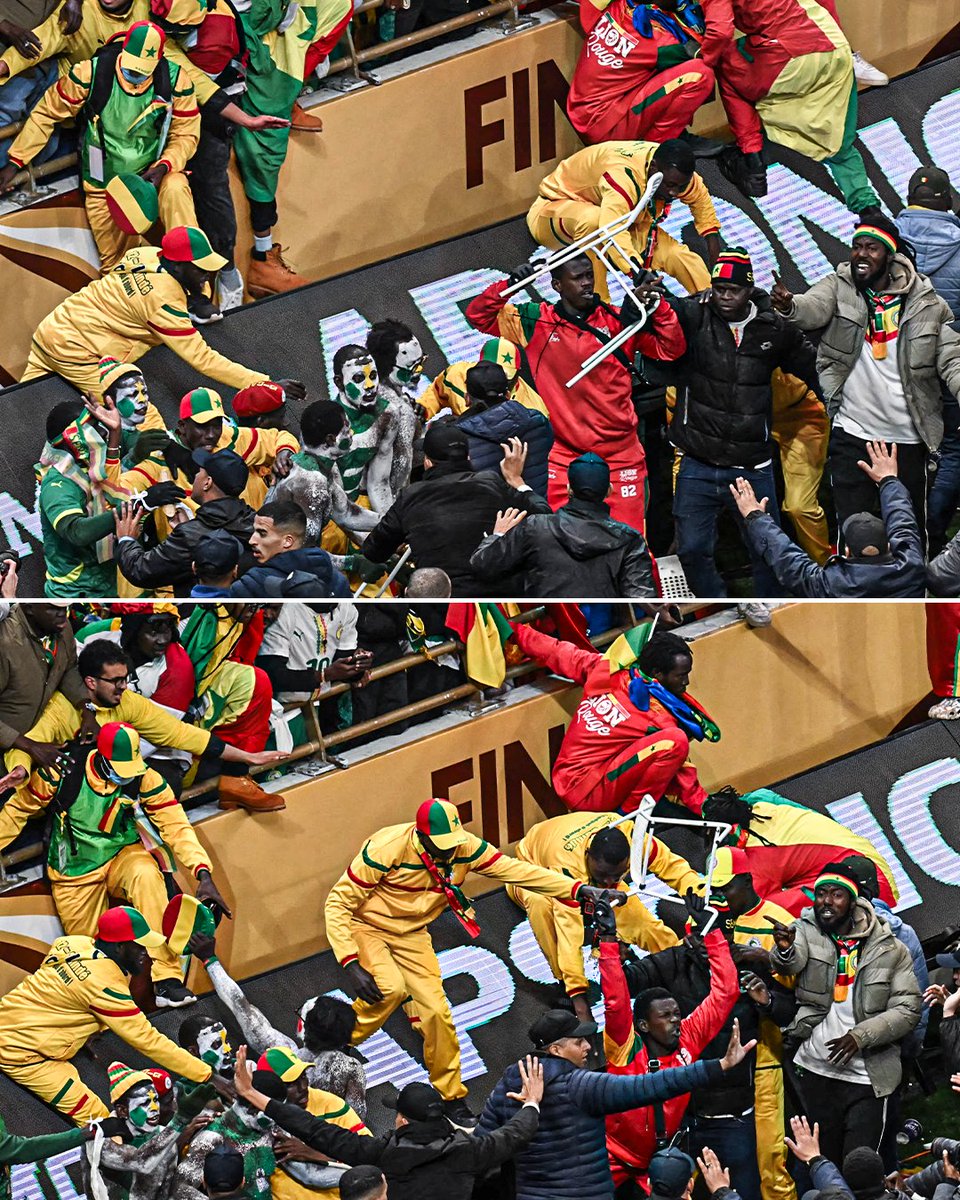 Senegal fans scrapping with stewards at the AFCON final after a penalty was awarded to Morocco.