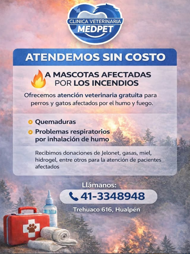 FCordovaE's tweet photo. Acá tres clínicas veterinarias del Gran #Concepción que están atendiendo GRATIS animales heridos en el incendio. Se necesitan donaciones de jelonet, gasa, suero, MIEL, hidrogel. También fundación Ñacurutú pide aportes para ayuda de animales silvestres. /RT https://t.co/OGebfEpjtS