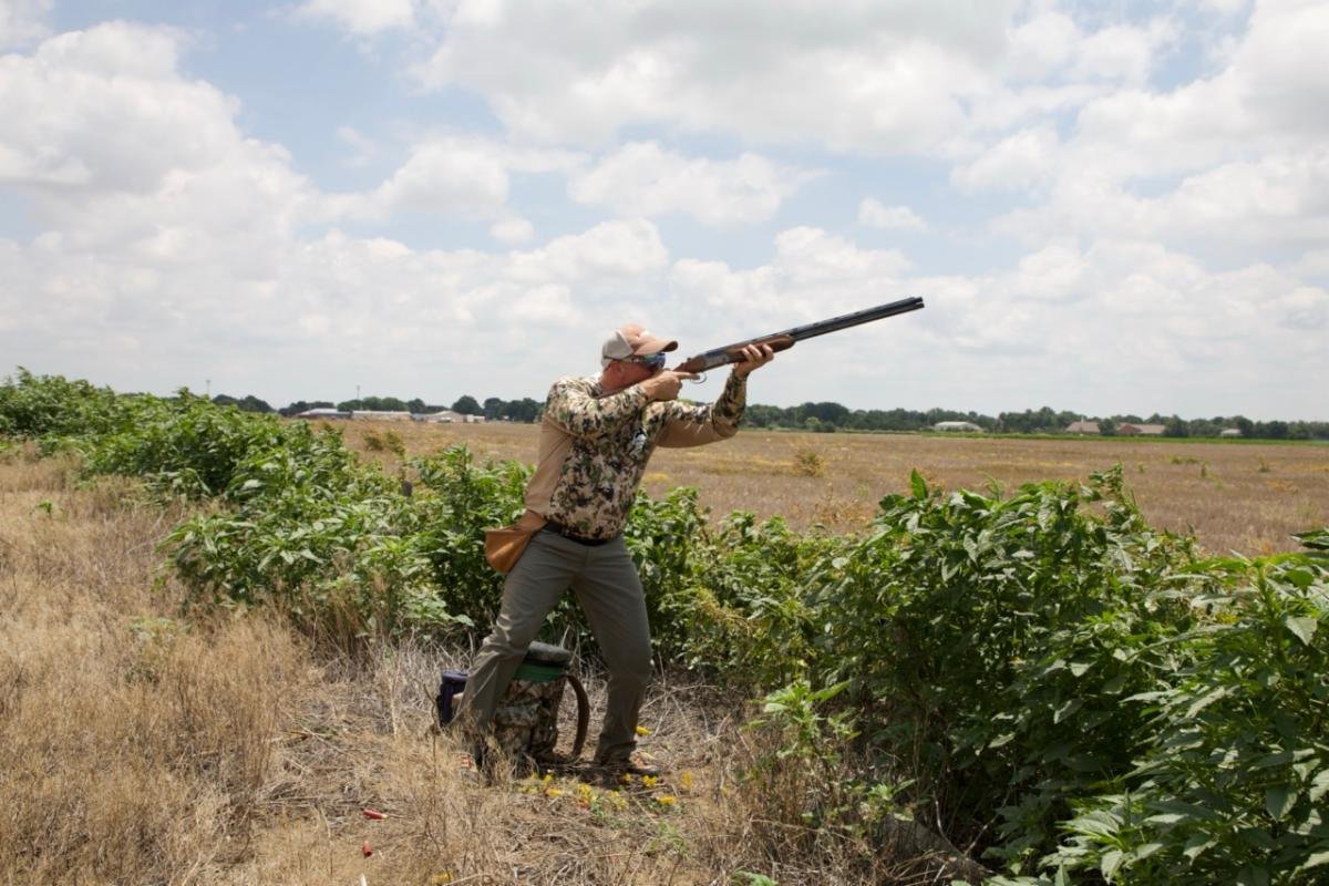 Fear and Loading tweet media