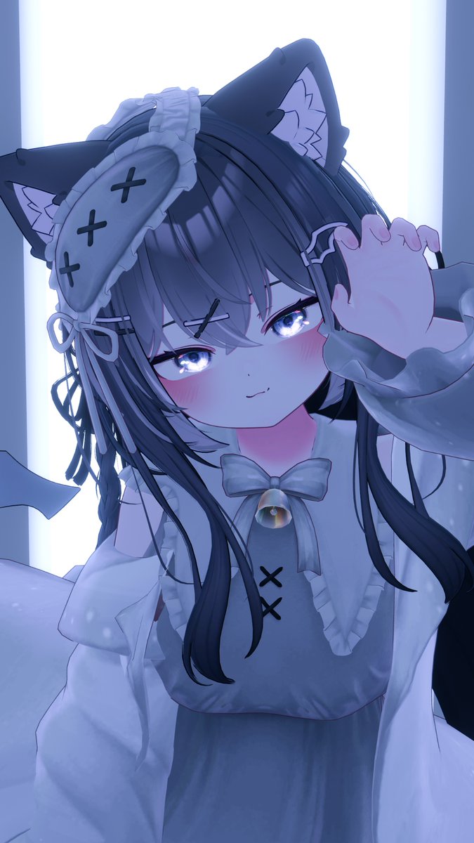 よきにゃん おはようございます🐾