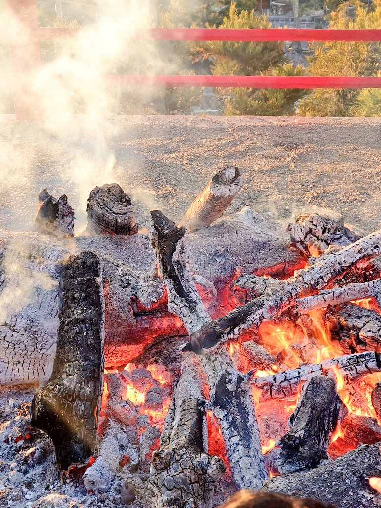 〈平穏無事〉😺

先週1週間は従業員の労災事故の対応で疲れました…😰

つくづく、ケガ🤕や事故が無い平穏無事がありがたく痛感します…😭

モチベ、メンタル低下して趣味もプライベートも楽しめないニャ〜😿😢

今週から新たに、気持ち切り替えて行こう…🙄

頑張ろっと…🥹

正月、中山寺の福火😌