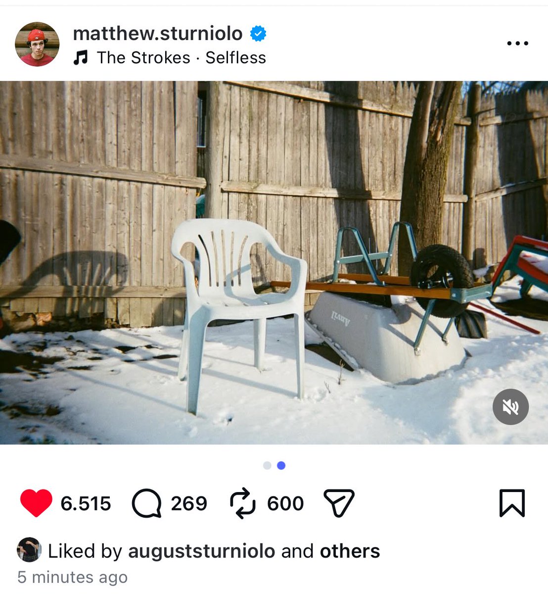 wAlLe5t's tweet photo. Bad bunny??? https://t.co/EfJe6rKY9U