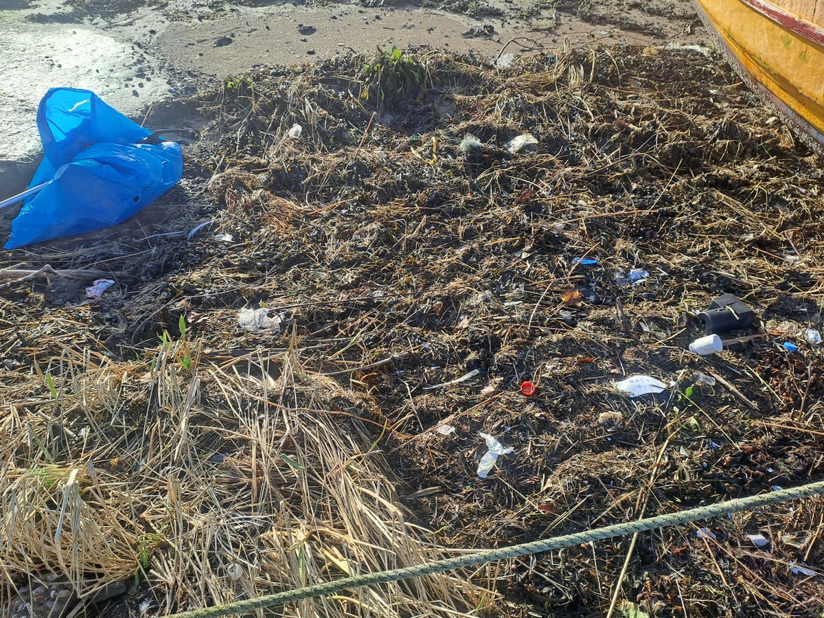 Kevin Vallely tweet media