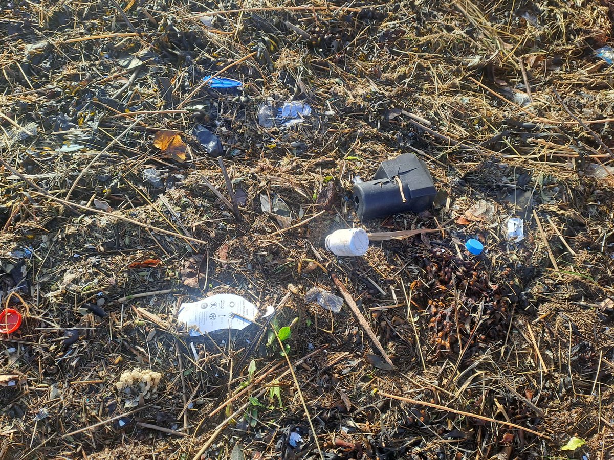 Kevin Vallely tweet media