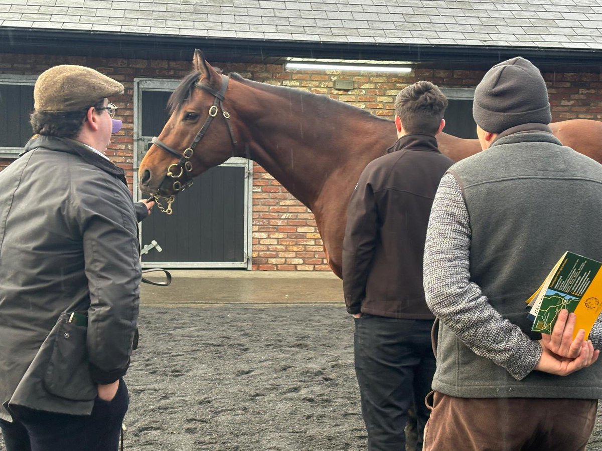 CompasStallions tweet media