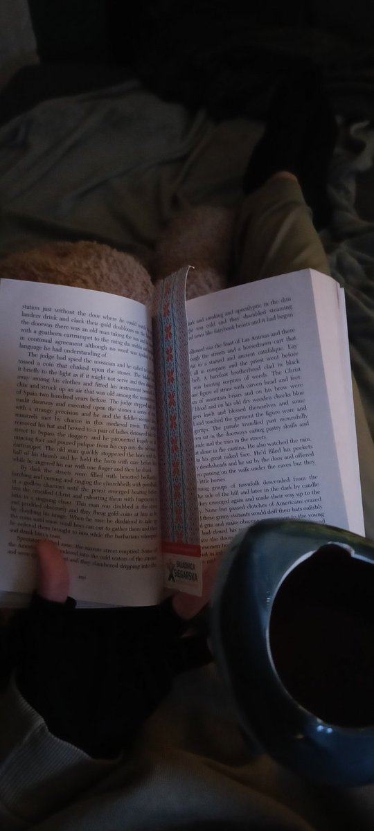 Disgard2137's tweet photo. Cozy (sry for the hashtags haha, never really properly posted here-) #bloodmeridian #Reading #booktwt #books #cozy #CozyVibes #tea https://t.co/X7xK0P7g2N
