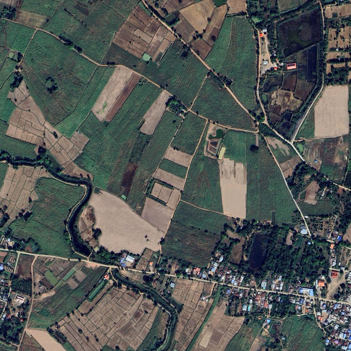 1000rai_'s tweet photo. โนนสะอาด อำเภอหนองเรือ ขอนแก่น
16°30'22.1"N 102°20'43.4"E https://t.co/jkpYxoqNfB