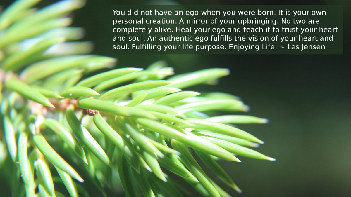 Your thinker, that part of you that does the thinking, the one reading this sentence, was grown, from nothing, in your early childhood. The last part of you to be created. By, typically, your parents. Look at their thinking style(s) and yours. Where are there common patterns?