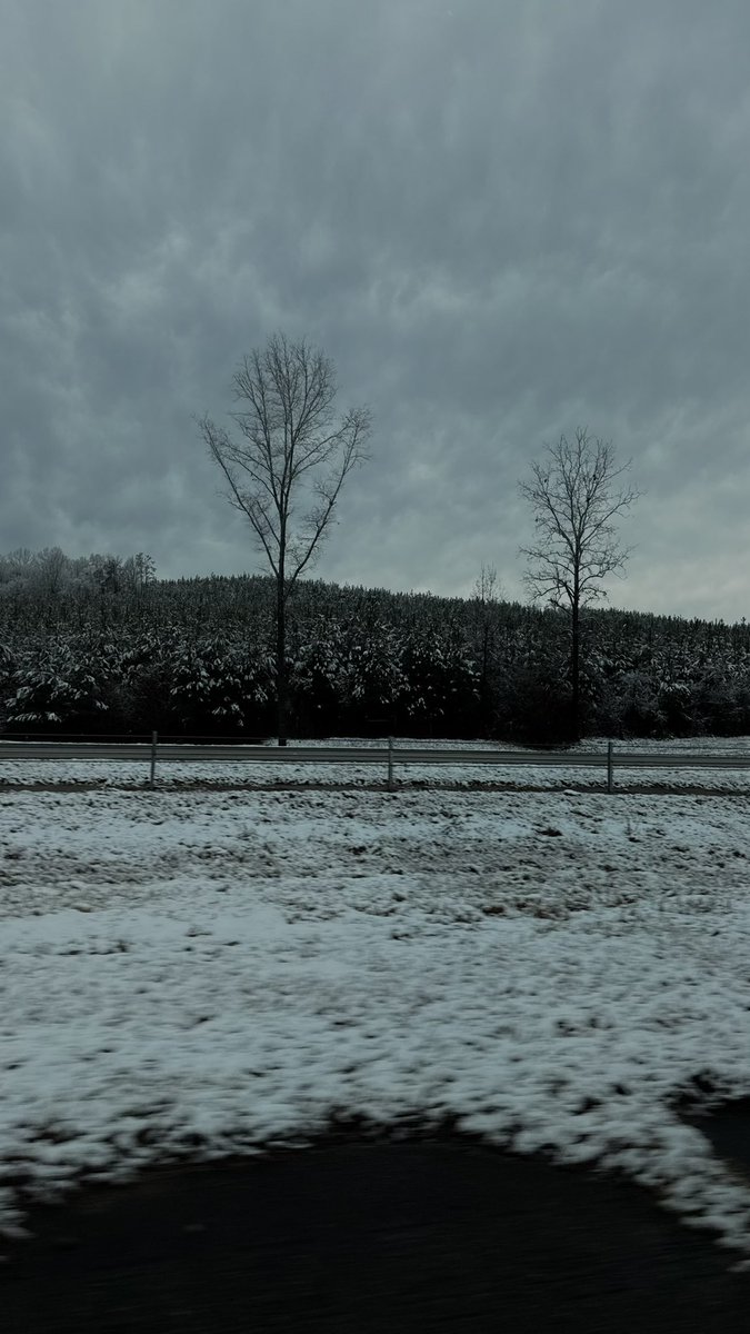 Blufiee // BuckScales tweet media