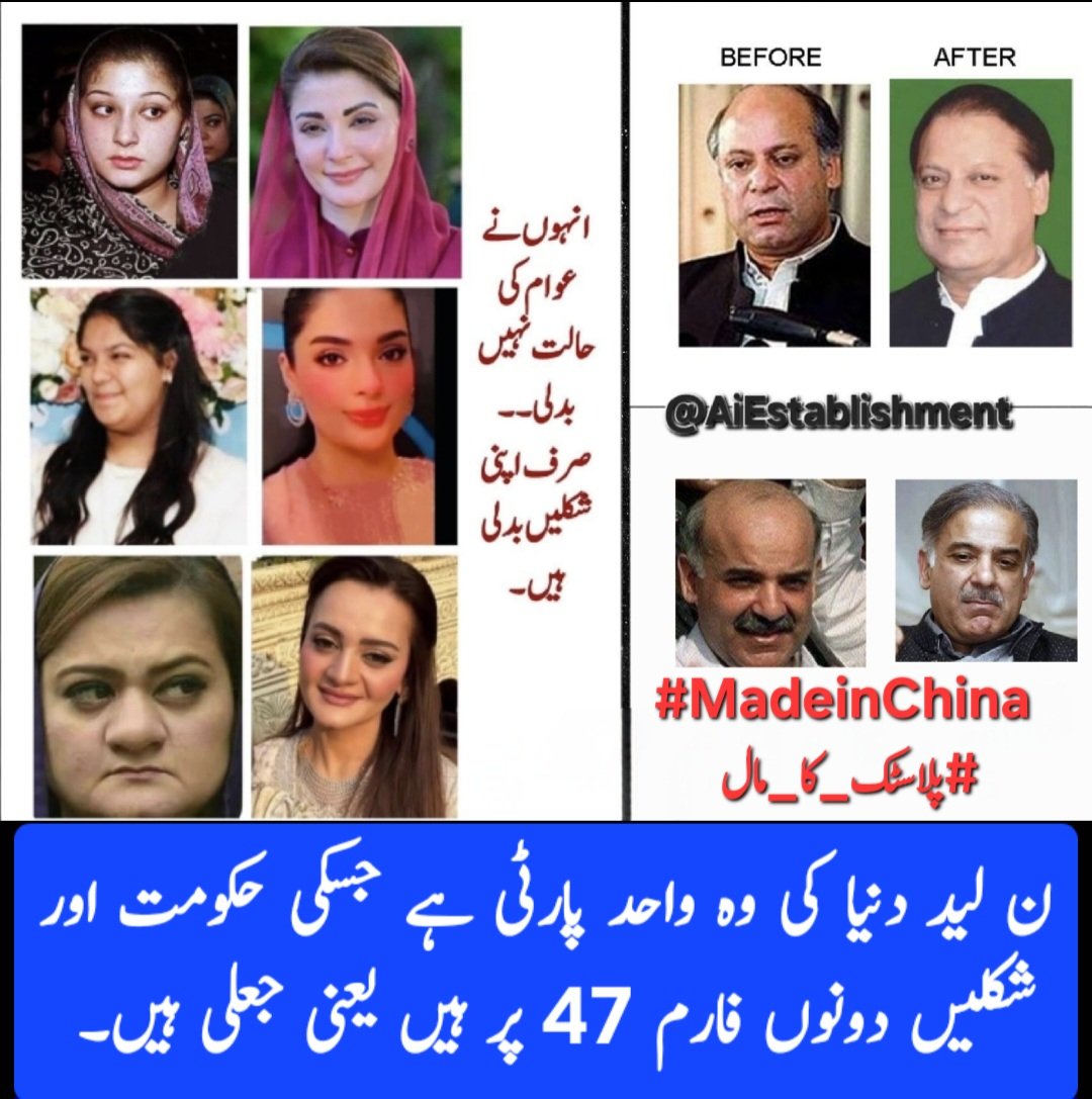 AiEstablishment's tweet image. ن لید دنیا کی وہ واحد پارٹی ہے جسکی حکومت اور شکلیں دونوں فارم 47 پر ہیں یعنی جعلی ہیں۔ 
#MadeinChina
#پلاسٹک_کا_مال