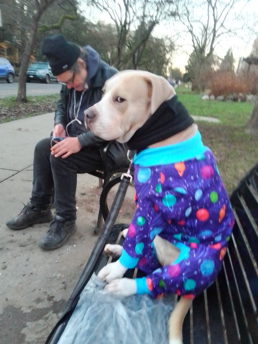 LebrockTony's tweet photo. BombasticCriminalOffensive
PittieTudeSideποΈπ€¨ππΎππ€
#parkvibes #takingitin #pittie
#sideeye #pittietude #dogx
#petswelove #dogsday #petx #pitipiti #pittiesareawesome
#staffiesunday #pittrageous
#MadamRiley #joey #dogeye https://t.co/DzR2a847no