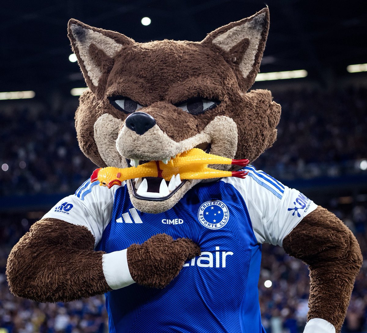 QGdoCruzeiro's tweet photo. ⚠️ URGENTE

O clássico do próximo domingo contará com a presença da torcida cruzeirense no setor visitante.

🗞️@centraldatoca https://t.co/n7P3YSBfLR