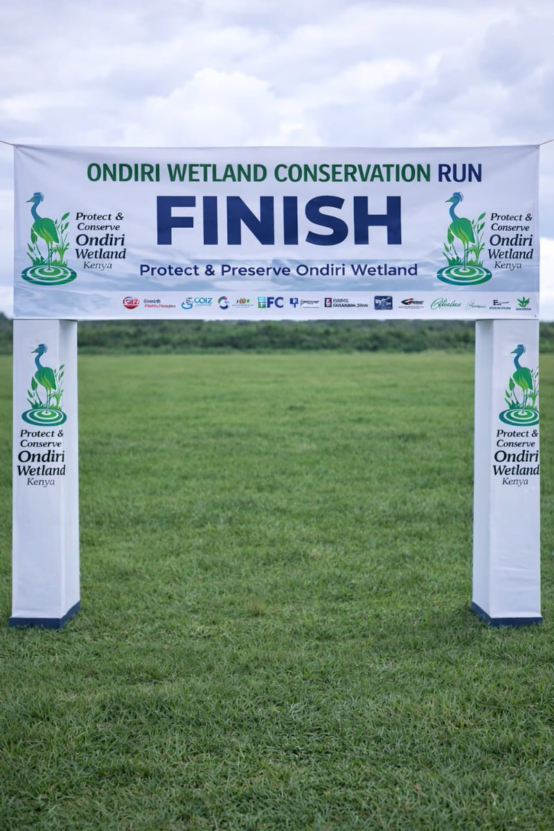 Taita Apalis tweet media