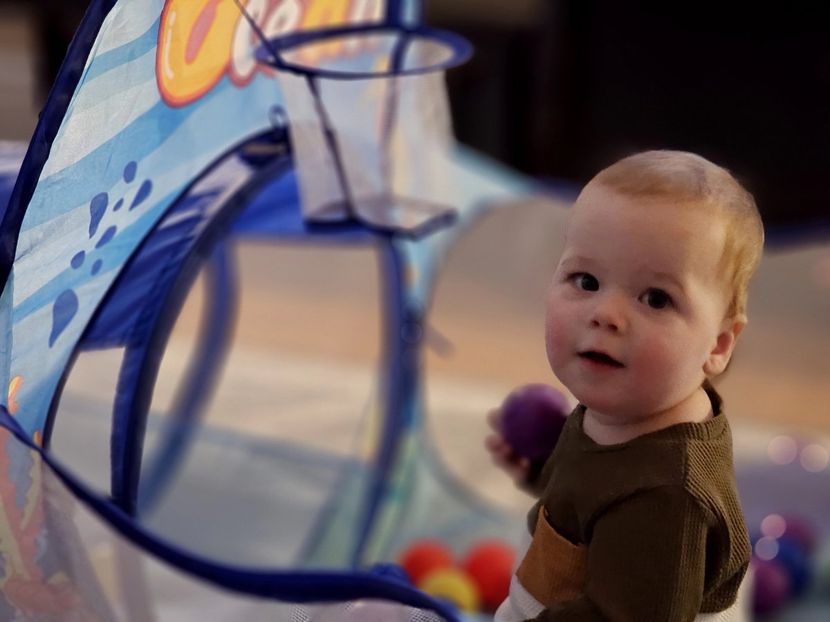 Eric F. Koehler tweet media