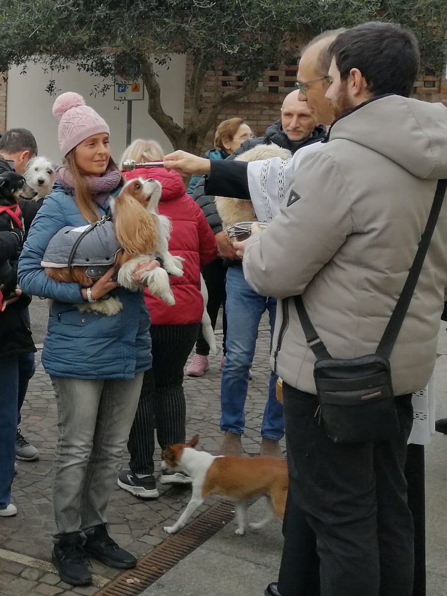 Hi Pals! Yesterday I attended the usual (and very interesting) event of every year on the day of Saint Anthony Abbot (the 17th of January): the blessing of the animals in front of our church! ⛪️🪄✨🐶🐱🐰🐹🐠🐢🐄🐎🐖
#SaintAnthonyAbbot #AnimalBlessing
#SantAntonioAbate (part 1)