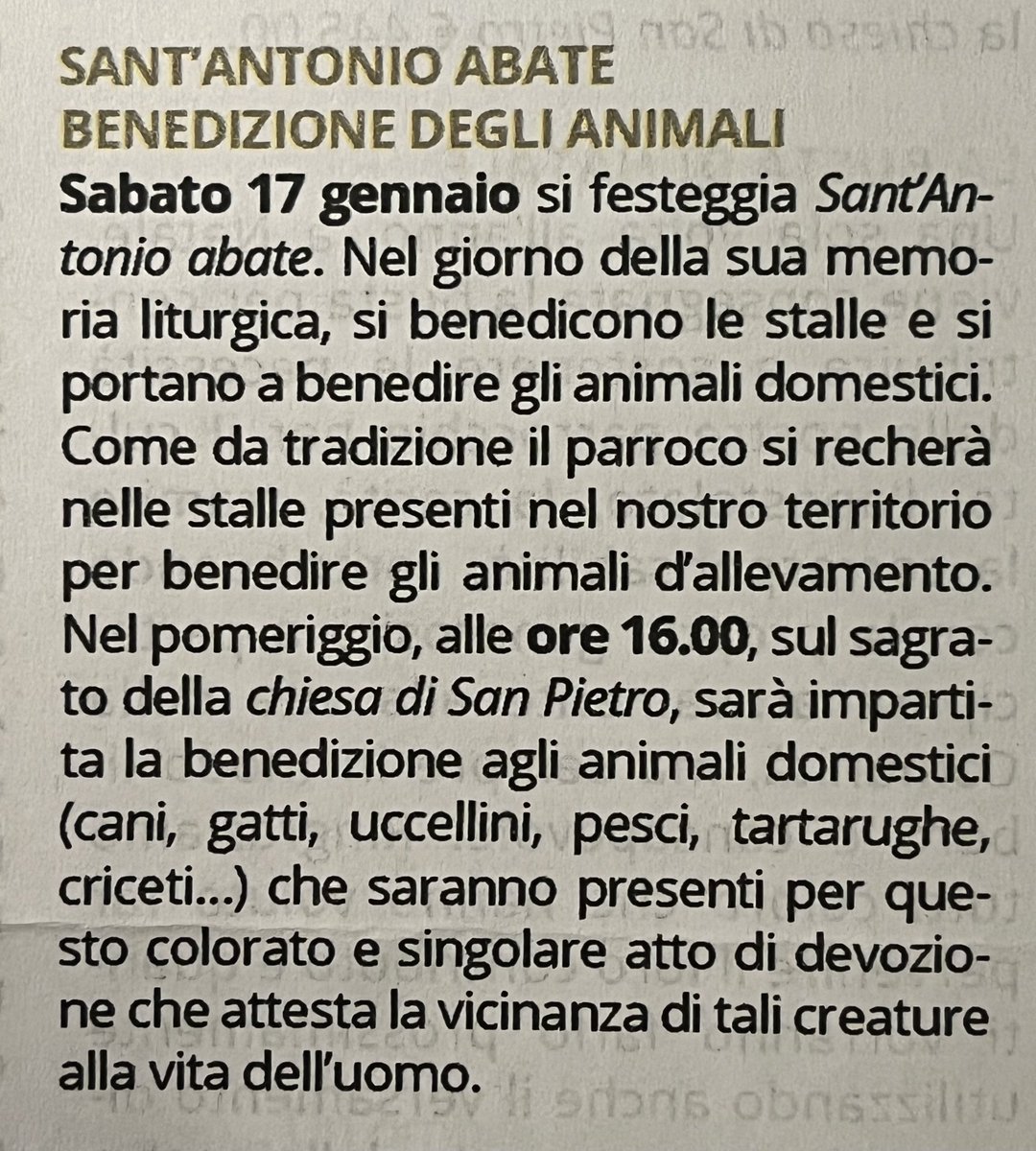 dolceSally's tweet photo. Hi Pals! Yesterday I attended the usual (and very interesting) event of every year on the day of Saint Anthony Abbot (the 17th of January): the blessing of the animals in front of our church! ⛪️🪄✨🐶🐱🐰🐹🐠🐢🐄🐎🐖
#SaintAnthonyAbbot #AnimalBlessing
#SantAntonioAbate (part 1) https://t.co/3tNMmH4HDK