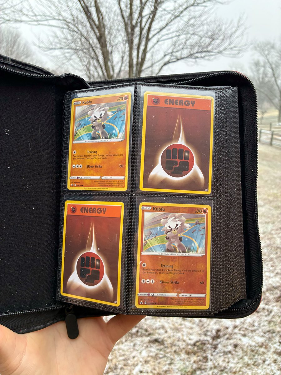 TheDamagedPokemonCollector tweet media