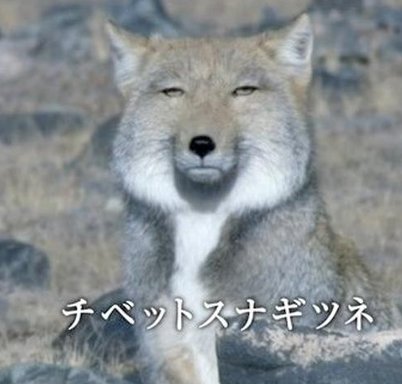 JrgonRAMON's tweet image. カフェでログボの途中 🦨