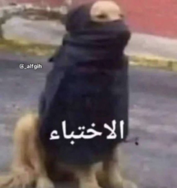 عمرو tweet media