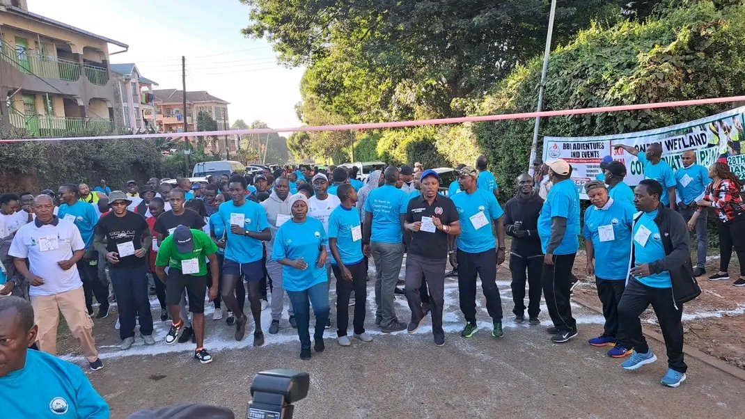 Taita Apalis tweet media